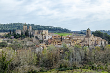 Fototapeta na wymiar Santa Maria de Santes Creus, Spain