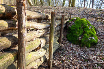 Water fascine in the woods