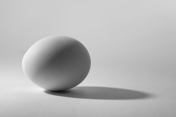 weisses Ei mit rechtem Schatten auf hellgrauem Hintergrund
