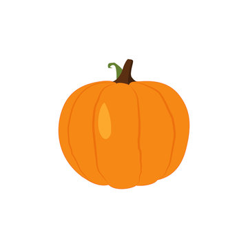 Pumpkin Isolated on White. Flat Design Style. Vector illustration