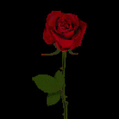 Red Rose with dots, halftone, vector