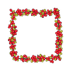 Hand drawn coffea plant