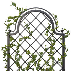 Pergola with flowers