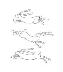 Vector hand drawn hares