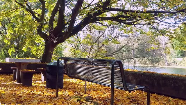 Herbst in K&ouml;ln