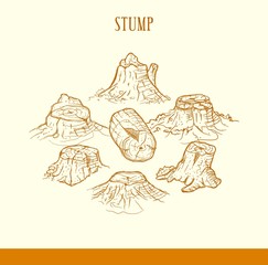 Hand drawn tree stump
