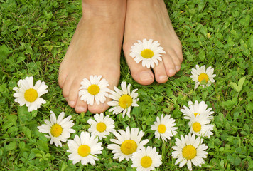 Healthy feets, gesunde Füße, Füße, gesund, Füsse, Wiese, Margeriten, Textraum, copy space