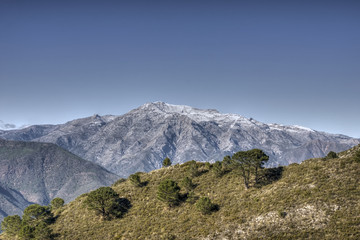 cima de la Torrecilla en el parque nacional de la sierra de las Nieves, Andalucía © Antonio ciero