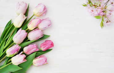 Easter, Ostern, Frühling, Muttertag, Tulpen, Mandelblüten, auf weißem Holz, Textraum, copy space