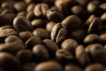 Coffee beans. Macro