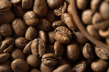 Coffee beans. Macro