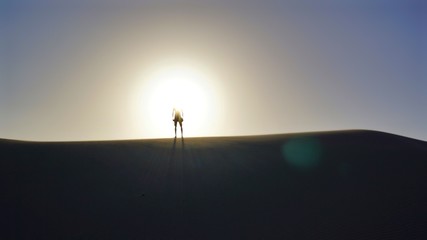 Mann in der W&uuml;ste - Sonnenuntergang - Australien