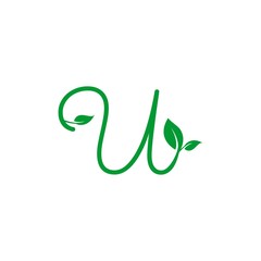 concept logo leaf letter U, natural green leaf symbol, initials U icon design