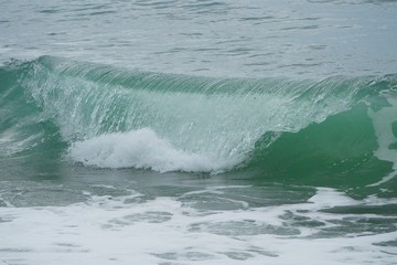 Green wave with white foam. Autumn sea.