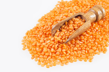 Raw red lentil - Lens culinaris