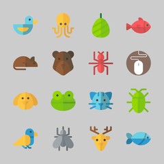 Icons about Animals with fish, ant, cocoon, mouse, frog and cockroach