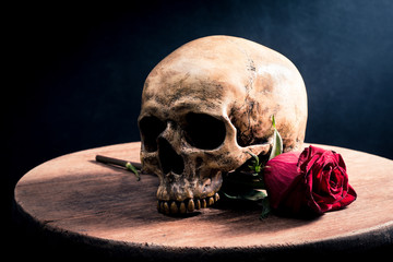 Human skull and red roses flower on old wooden table with dark background