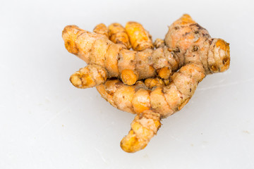 Modified Stem for education in laboratory.