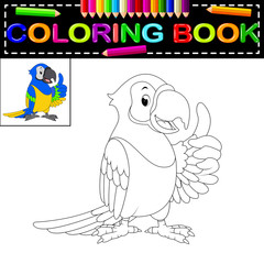 parrot coloring book