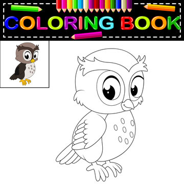 Owl Coloring Book