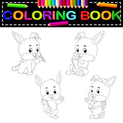 rabbit coloring book