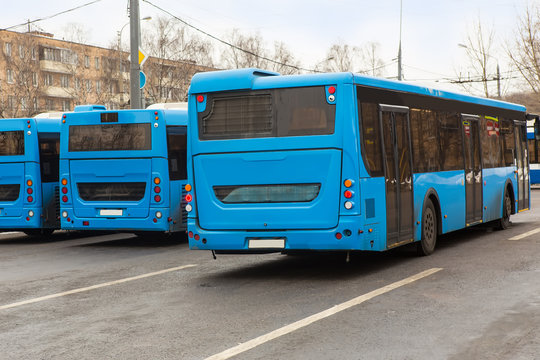 city buses in the Parking lot