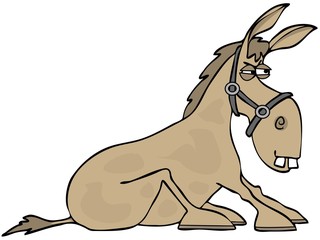 Illustration of an angry, stubborn tan donkey with its hooves planted on the ground. - obrazy, fototapety, plakaty