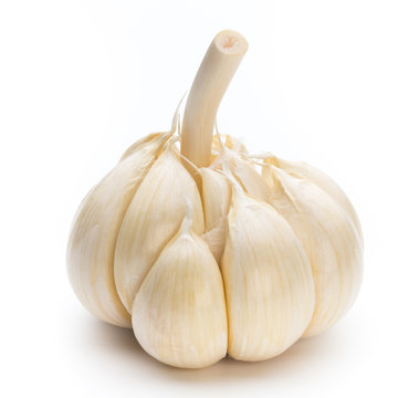 Garlic isolated on the white background.