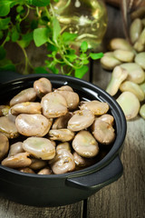 Broad beans stewed with onion and oregano