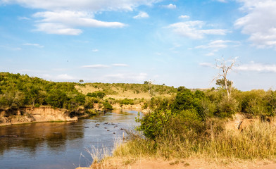 Mara river in Masai Mara.  River among trees. Kenya. - obrazy, fototapety, plakaty