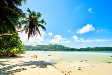 Fototapeta na wymiar Anse a La Mouche - Paradise beach on tropical island Mahé in Sey