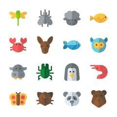 icon Animals with penguin, butterfly, cat, hippopatamus and kangaroo