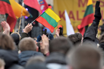 Man Hand Hold Lithuanian Flag - obrazy, fototapety, plakaty