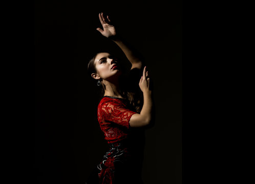 flamenco dancer on a dark background. free space for your text