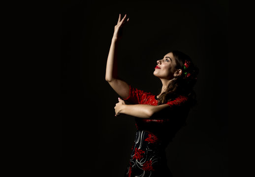 flamenco dancer on a dark background. free space for your text