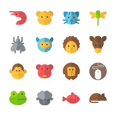 Obraz premium icon Animals with owl, tiger, cat, rat and hamster