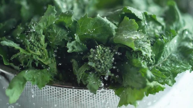 Water droplets on broccoli rape. Shot with high speed camera, phantom flex 4K. Slow Motion.