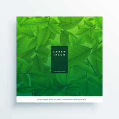 green leaves card design background