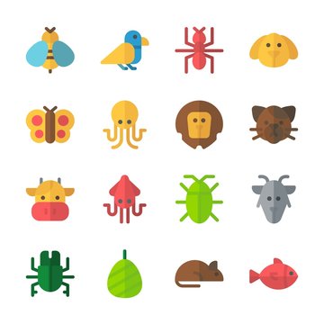 icon Animals with cocoon, lion, butterfly, dog and octobus