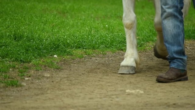 Man and horse step together close up, human being and nature relationship concept slow motion