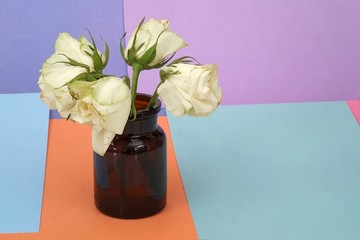Composition with roses isolated on a multi-colored background