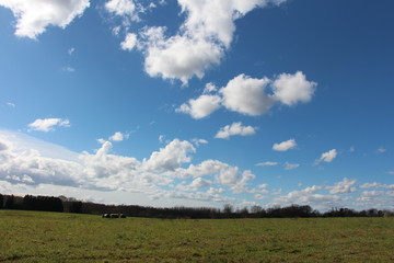 Fototapeta na wymiar Ciel nuageux à la campagne 1