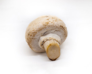 Fresh champignon mushroom isolated on white background