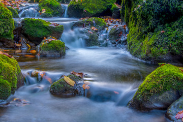 Wasser fliesst im Bach © Tobias