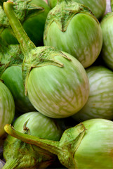 Fresh Thai eggplants or Brinjal  in the morning market