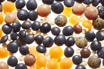 different lentils, red, brown and white quinoa