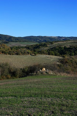 Cultivated fields in Tuscany, Italy