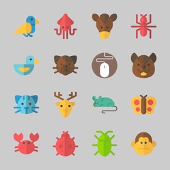 Icons about Animals with crab, squid, cat, cockroach, horse and monkey