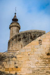 La Tour de Constance et les remparts de Aigues Mortes