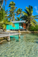 Tobacco Caye - Relaxing at Cabin or bungalow on small tropical island at Barrier Reef with paradise beach, Caribbean Sea, Belize, Central America